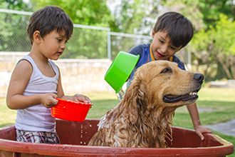 A dogwash can help raise money for your church while providing a valuable service for your congregants.