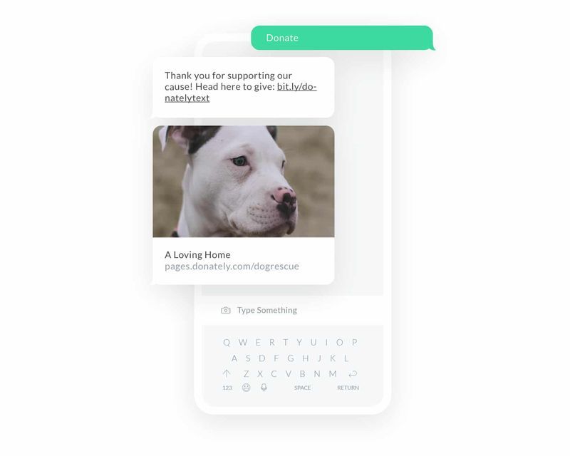 Use text-to-donate to simplify the donation process for donors.