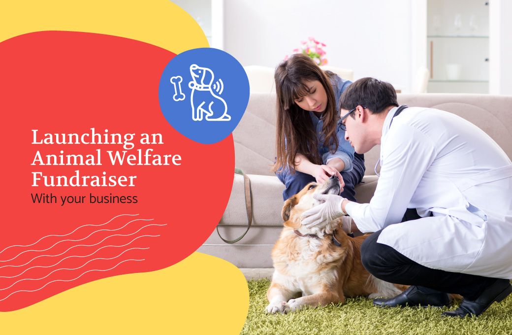 Launching an Animal Welfare Fundraiser with Your Business
